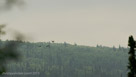 Learning to fly in non-ideal weather and light will help during the migration south.