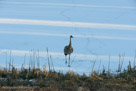 The dancer relaxes as he steps to the edge of his snowy stage.