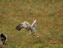 Second spin starts at 8.5 seconds